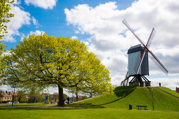 Windmill in Bruges, Northern Europe, Belgium.