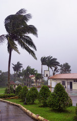 Tropical Typhoon at school located in Tagaytay, Phillipine
