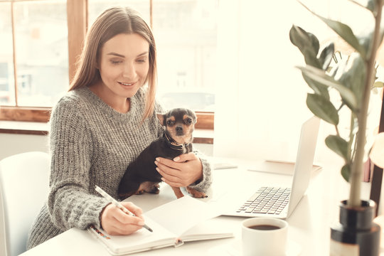 Young woman freelancer indoors home office concept winter atmosphere with dog