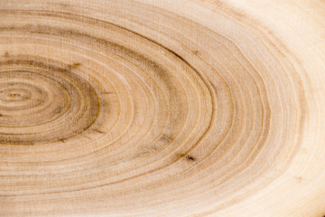 Slices of wood