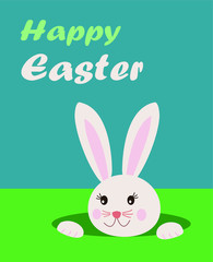 Easter greeting card with text happy easter and cute bunny rabbit looking from the hole in grass, blue background