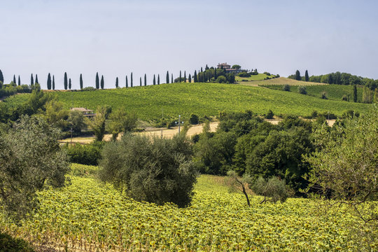 Landscape in Umbria near Todi