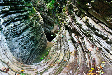 Beautiful canyon overgrown with moss and ivy with a flowing streams of the mountain creek