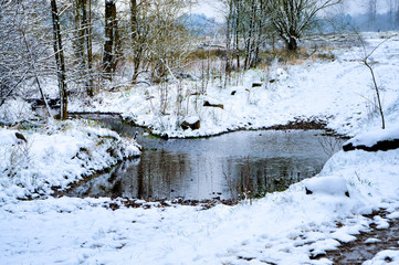 Bach im Winter