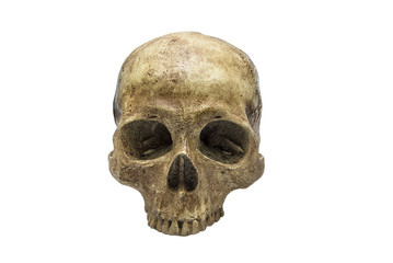 Human Skull isolated on white background