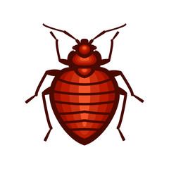 Bedbug insect illustration