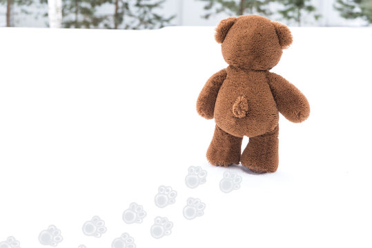 Teddy Bear Walks In The Snow. The Benefits Of Walking.