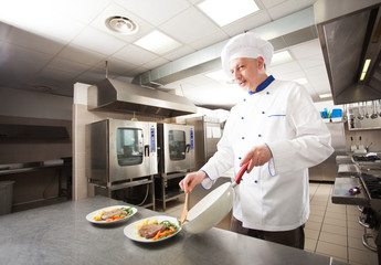 Male chef preparing a dish
