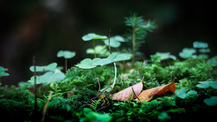 Autumn is the favorite time of the year, because it changes the way we see the world.