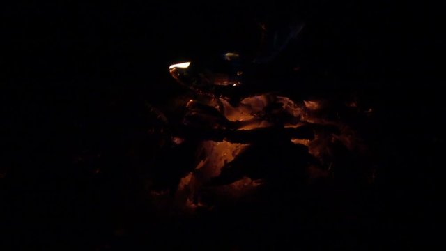 Diminishing fire and hot coal at night, slow motion 240 fps, hd 1080p video footage