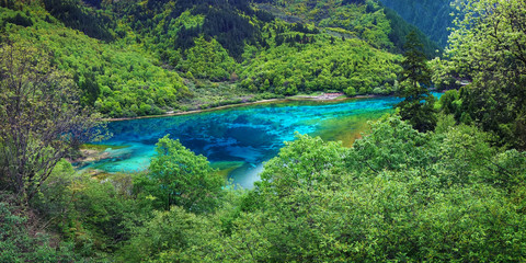 Fototapeta na wymiar view of colorful lake in jiuzhaigou national park, Sichuan, china