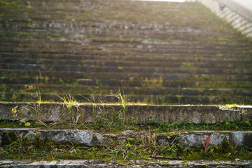 old stone stairs with moss and grass at sunny morning