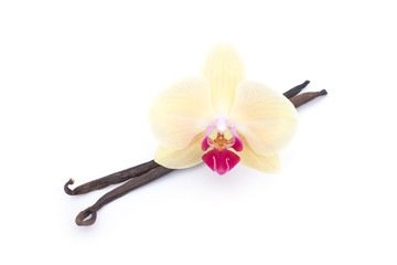 Fototapeta na wymiar Vanilla flower sticks