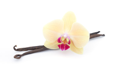 Vanilla flower sticks