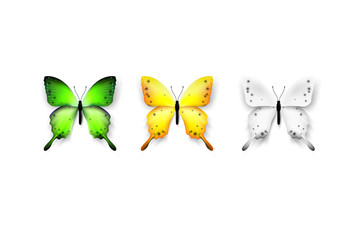 Set Of Colorful Butterflies. Isolated On White Background Vector Illustration. Trendy Design Element