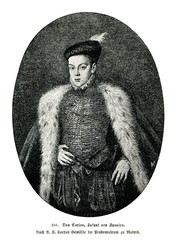 Carlos, Prince of Asturias, known as Don Carlos, portrait by Alonso Sánchez Coello (from Spamers Illustrierte  Weltgeschichte, 1894, 5[1], 567)