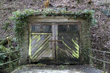 Wooden garage doors are covered with moss