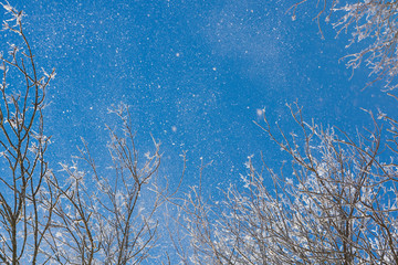 Blue winter clear sky