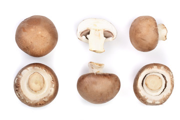 Fresh champignon mushrooms isolated on white background. Top view. Flat lay. Set or collection