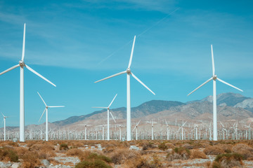 Fototapeta premium Wind generator farm against the blue sky and beautiful landscape