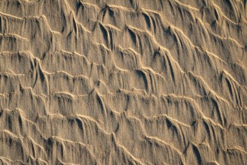 there are a lot of wonders surround us. it´s on us to see them!