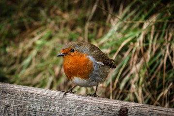 i ask myself- what is he thinking about?