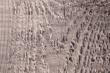 wood texture macro background