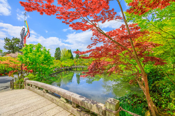 Stone bridge across the Hojo-ike pond surrounded by red linden trees. Eikan-do, the official name is Zenrin-ji, is a temple famous for the Buddha and the main temple of Jodoshu Buddhism, Kyoto, Japan.