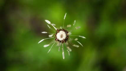 there are a lot of wonders surround us. it´s on us to see them!