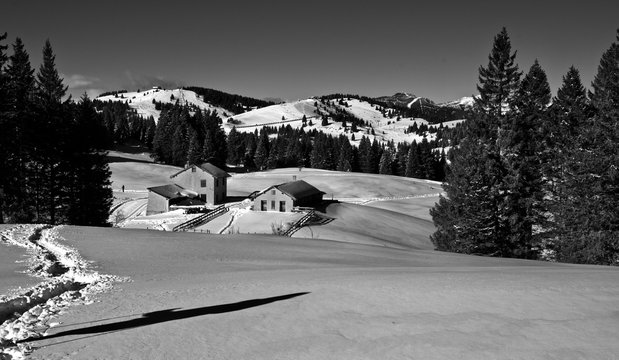 Ciaspolate. Passo Coe, Folgaria