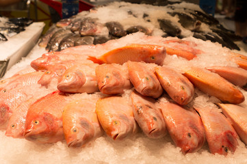 a number of pink and black  tilapia fishes