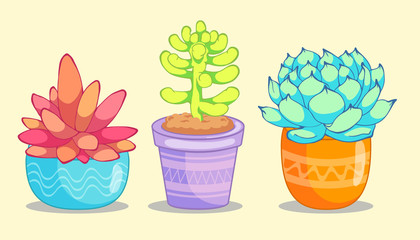 three succulent flower on yellow background. Vector illustration is suitable for greeting cards and prints on t-shirts.