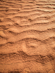 Rippling Mudflat Texture