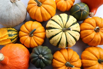 Pumpkins and squash.
