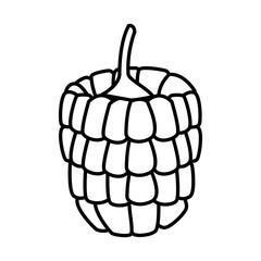 Raspberry fruits isolated icon vector illustration graphic design
