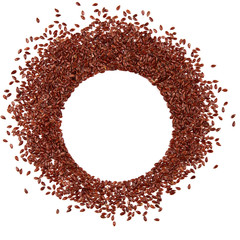 Seeds frame