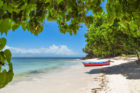 Boot im wei&szlig;en Sand am wundersch&ouml;nen Strand mit t&uuml;rkisfarbenen Wasser, blauem Himmel, umgeben von tropischen Gr&uuml;npflanzen und Palmen