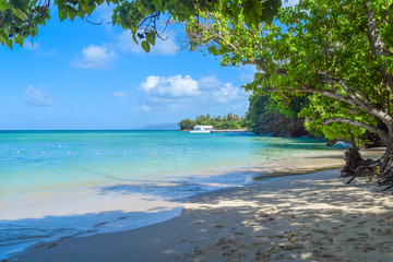 Sandstrand mit türkisenem Meer Wasser, Grüne Bäume im Vordergrund, Boot im Hintergrund am Horizont, blauer Himmel, Schatten der Bäume im Sand, Karibik, Dominikanische Republik
