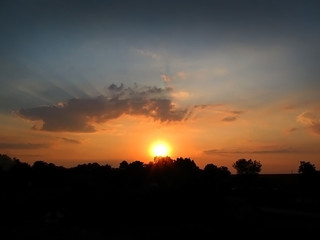 sunset, orange sky against a backdrop of silhouettes of trees