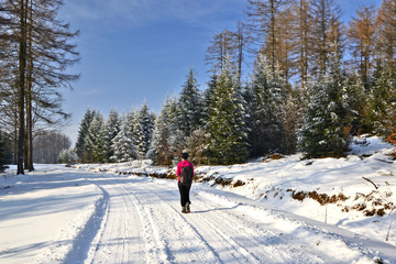 Sunny winter day with woman walks through the snowy landscape