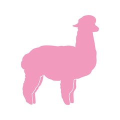 Лама альпака