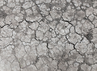 cracks in the dry land