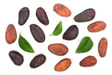 Obraz premium cocoa bean with leaf isolated on white background top view. Flat lay