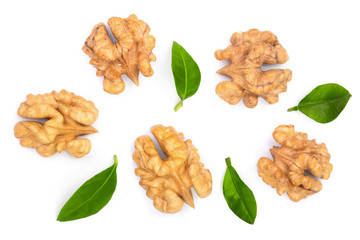 walnut kernels with leaves isolated on white background. Top view. Flat lay