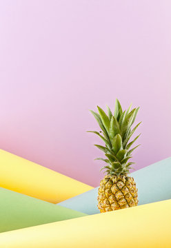 Pineapple on a combined colored background.