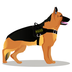 German shepherd Police dog