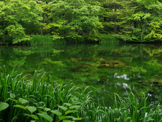 日本の風景