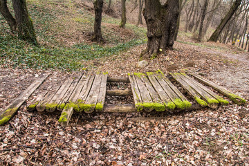 Fototapeta premium Kosutnjak , is a park-forest and urban neighborhood of Belgrade, the capital of Serbia.