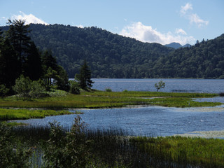 Fototapeta premium 日本の風景