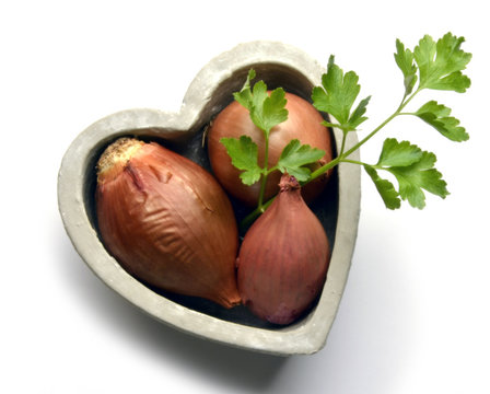 Allium ascalonicum Schalotte Scalogno Chalotas Shallot Scalogni 火葱 Sjalottl&oslash;k Chalota كراث أندلسي Escalo&ntilde;a Cibule Sjalot &scaron;alotka Czosnek Salottisipuli askaloński &Eacute;chalote Hẹ t&acirc;y Schalottenl&ouml;k בצלצל
